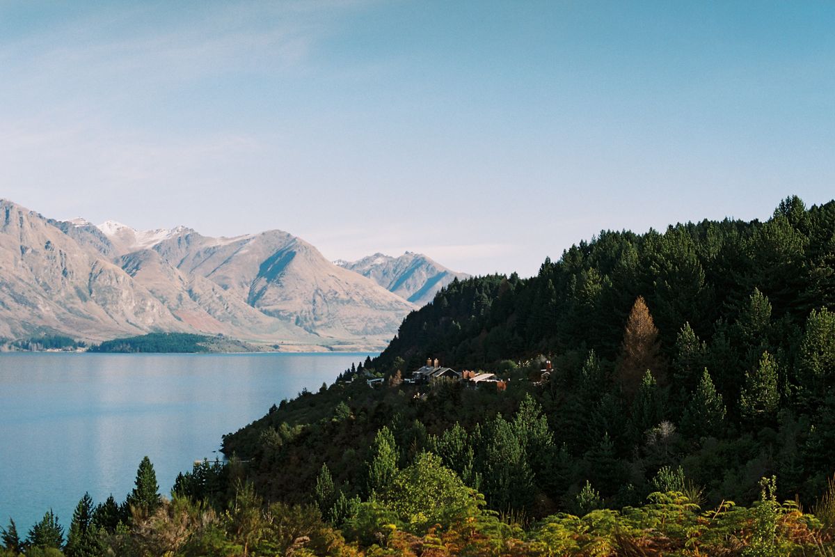Panoramic view of native New Zealand forest landscape near Queenstown